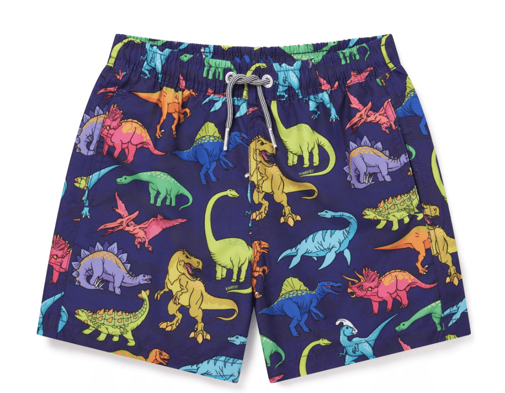 Boardies Boardies Dino Swim Shorts