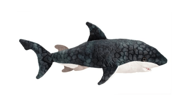 Douglas Default Neptune Blue Shark
