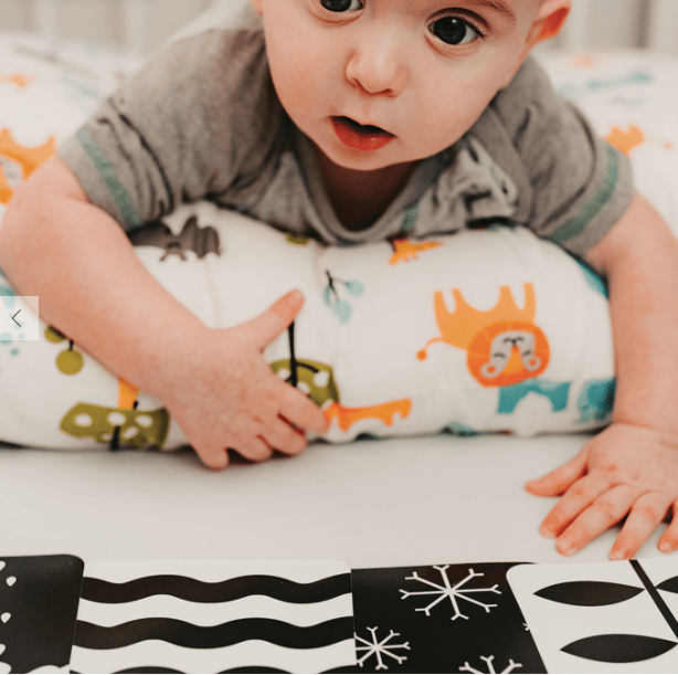 Faire Default Newborn Baby Sensory Flashcards (0+ Months) - Award-winning