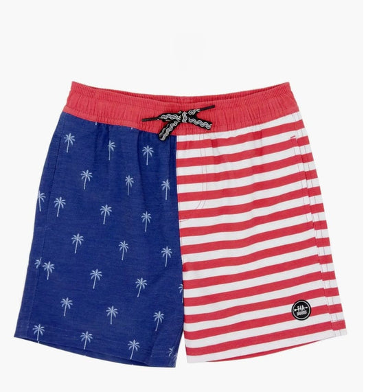 Feather 4 Arrow Palm Stripe Volley Trunk Twilight