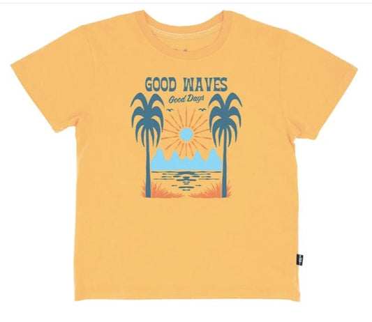 Feather 4 Arrow GOOD WAVES VINTAGE TEE