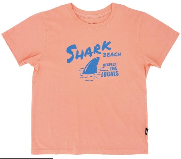 Feather 4 Arrow Shark Beach Vintage Tee