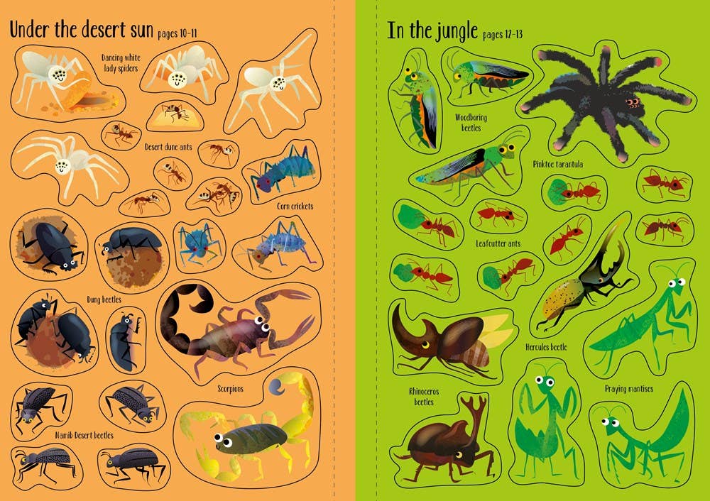 HarperCollins Little First Stickers Bugs: Sam Smith 9781835404652