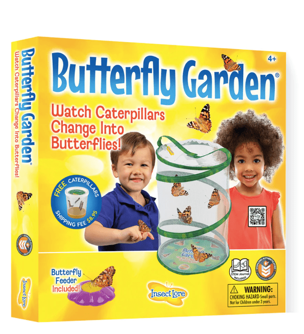 Little Beach Babes Boutique Butterfly Garden With Voucher