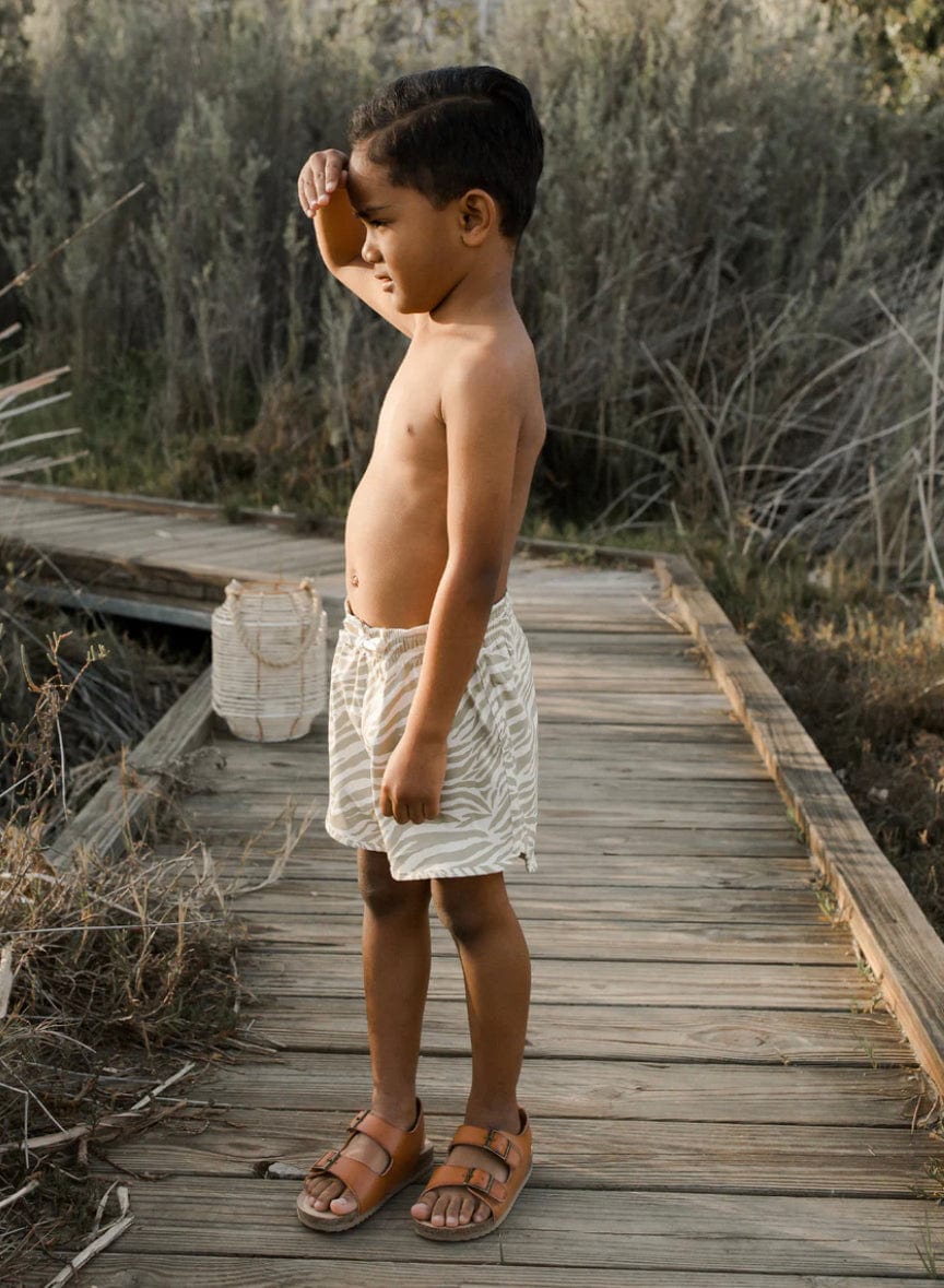 Little Beach Babes Boutique Rylee & Cru-SS23-Swim Trunks-Zebra