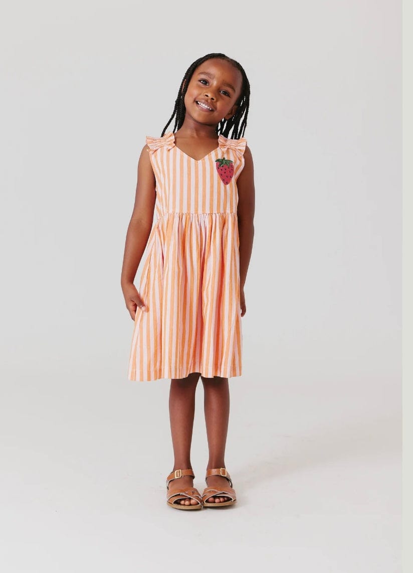 Pink Chicken Girls Via Dress Orange Pink Stripe