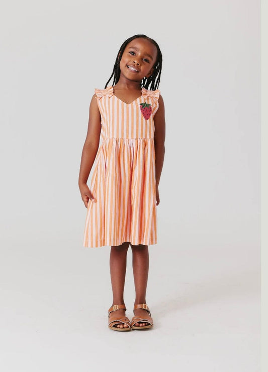 Pink Chicken Girls Via Dress Orange Pink Stripe