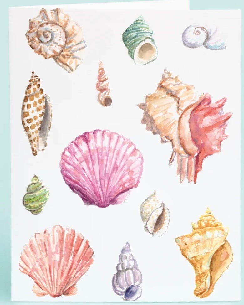 Taylor Paladino Seashells Enclosure Card