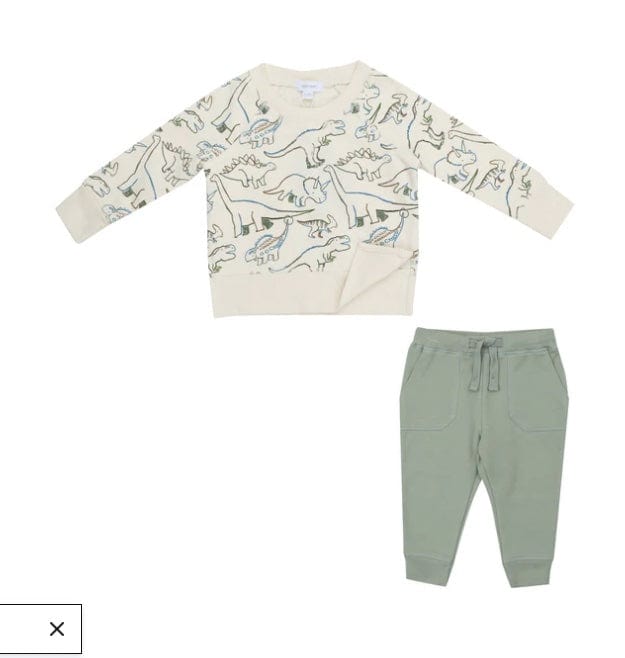 Angel Dear RAGLAN SWEATSHIRT AND JOGGER SET - ARTSY DINOS