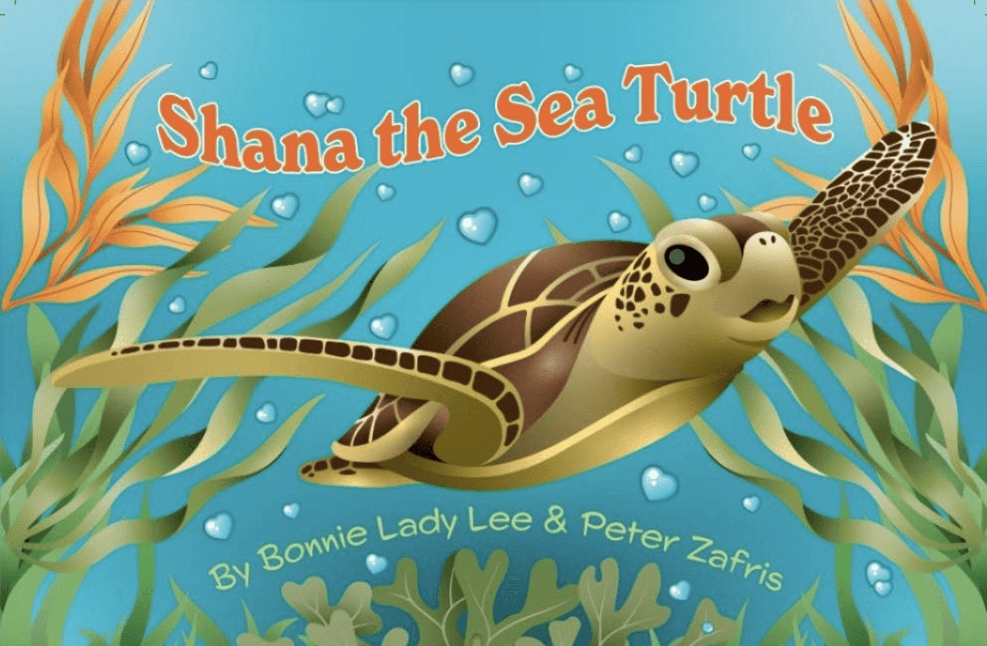 Shana the Sea Turtle [Book]