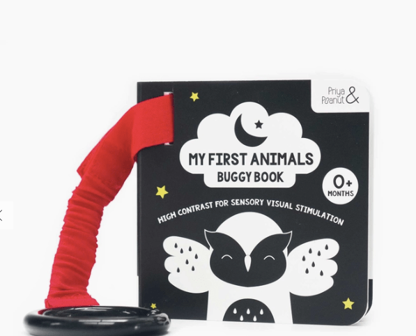 Faire Default My First Animals Sensory Buggy Book