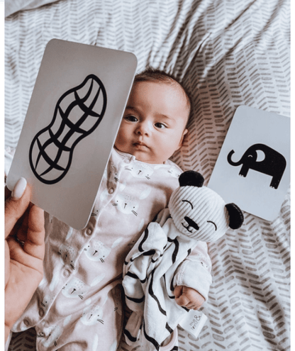 Faire Default Newborn Baby Sensory Flashcards (0+ Months) - Award-winning