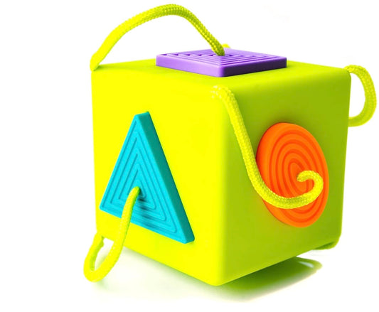 FAT BRAIN TOY COMPANY Oombeecube