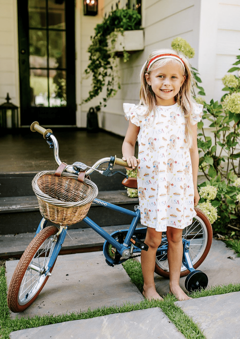 Grace and james Patriotic Party Dress