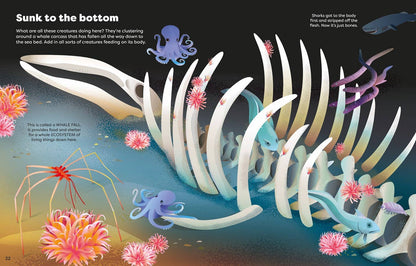 HarperCollins Big Sticker Book Weird Deep Sea Creatures : Usborne 9781836053859