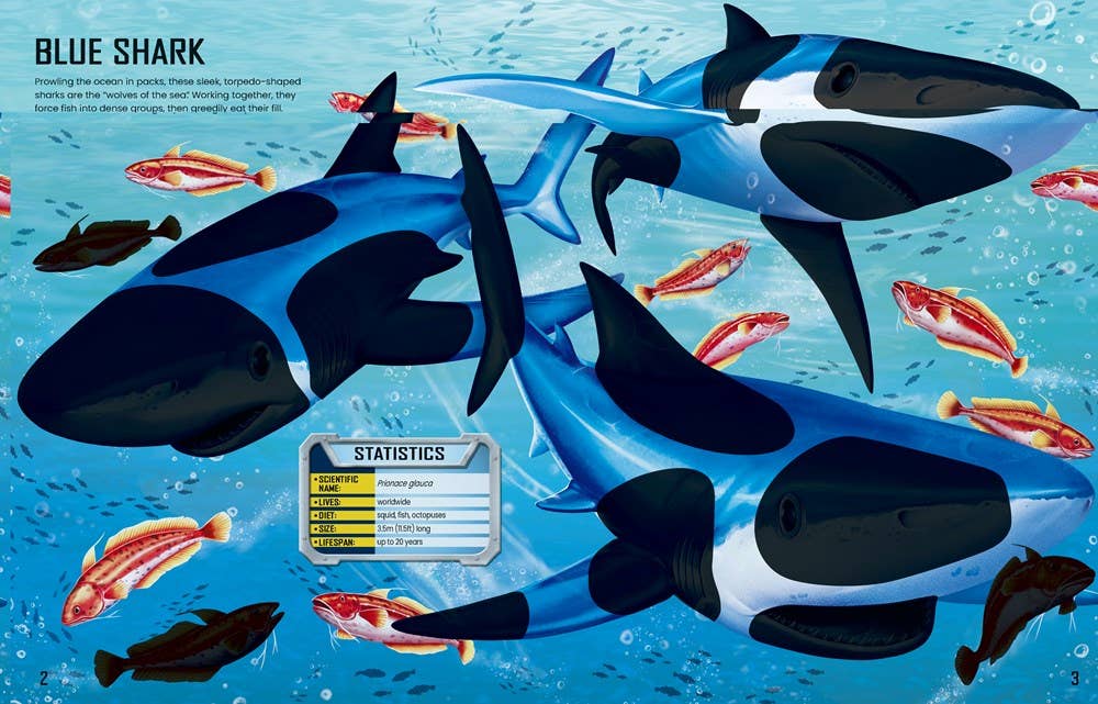 HarperCollins Build Your Own Sharks : Usborne 9781836050483