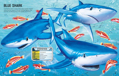 HarperCollins Build Your Own Sharks : Usborne 9781836050483
