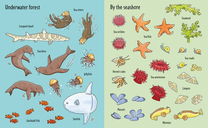 HarperCollins First Sticker Book Under The Sea : Usborne 9781805318064