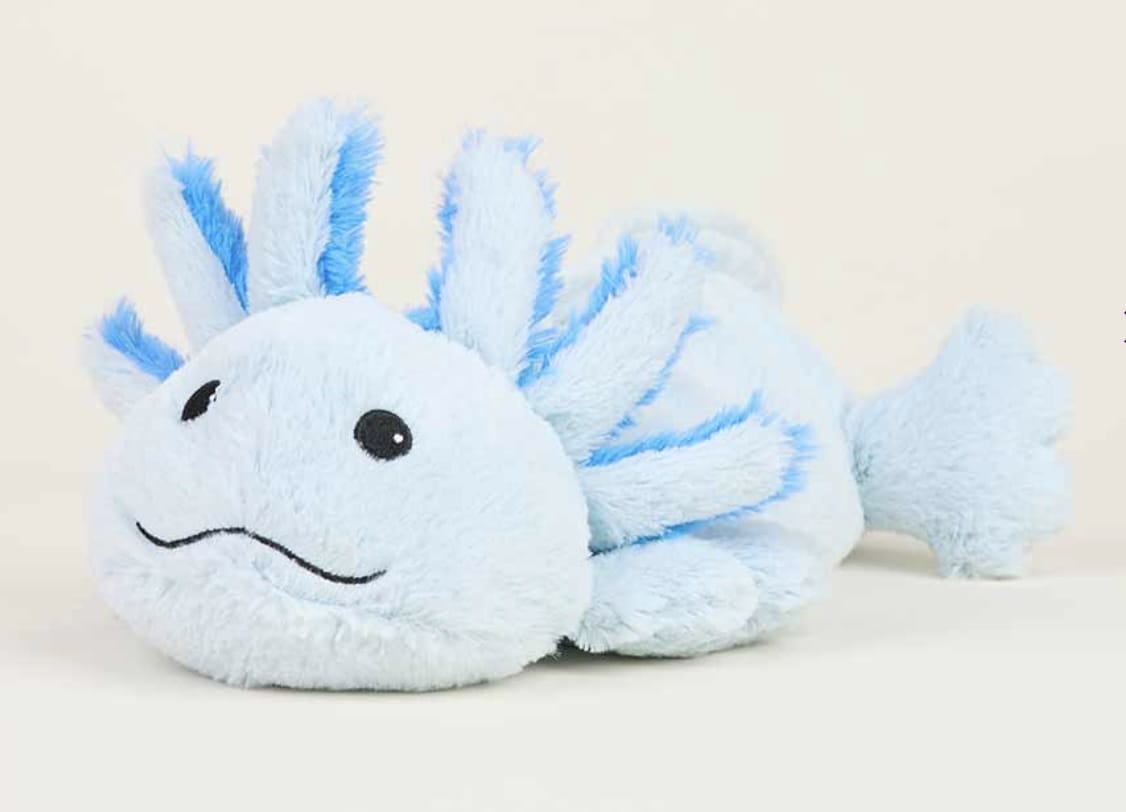 Intelex Jr. Blue Axoliti Warmies
