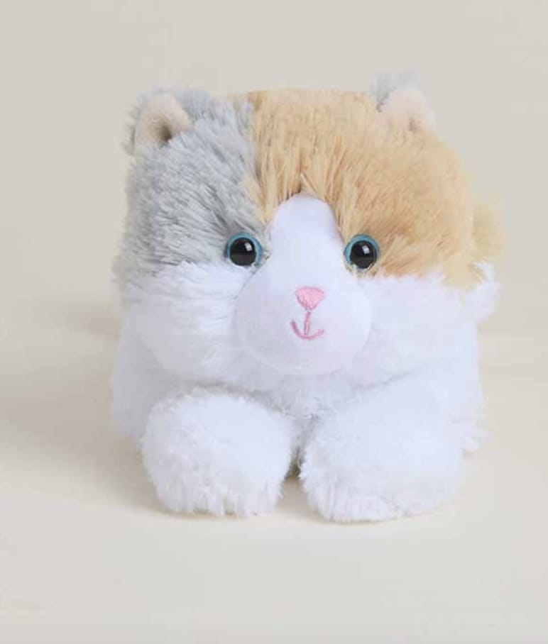 Intelex Jr Cat Warmies