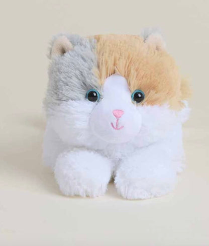 Intelex Jr Cat Warmies
