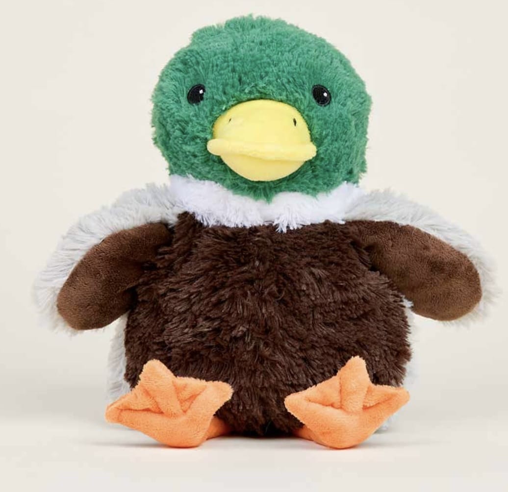 Intelex Mallard duck Warmies