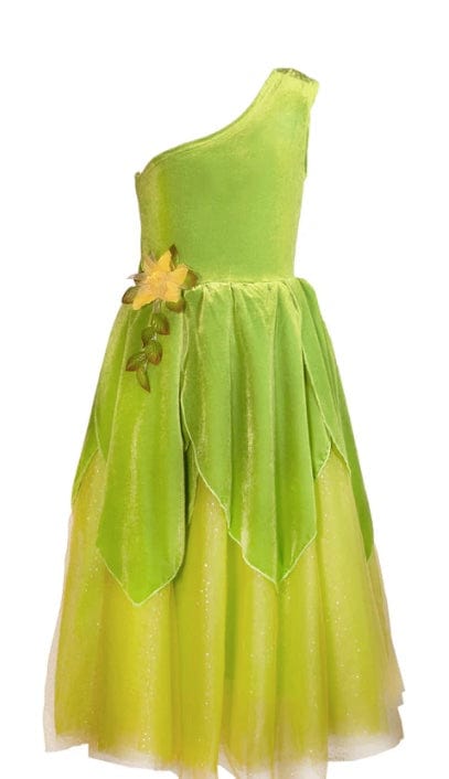 Joy Joy The Frog Princess or Tinker Fairy dress