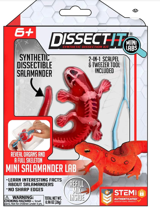 LAROSE DISSECT IT Salamader Dissect It Mini lab