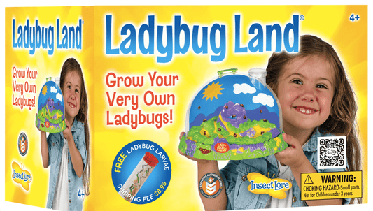 Little Beach Babes Boutique  Ladybug Land With Voucher