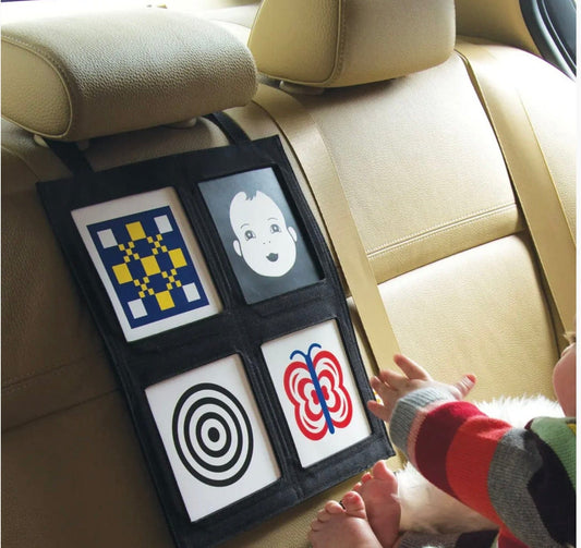 Manhattan toys Wimmer-Ferguson Car Seat Gallery