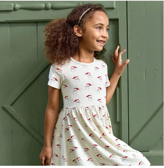 Pink Chicken SUNNY DRESS - MINI SANTA