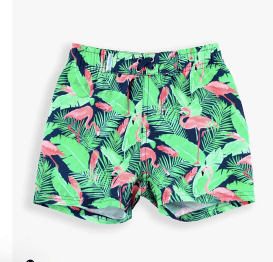 Ruffle Butts Rugged  Butts Boys Swim Trunks