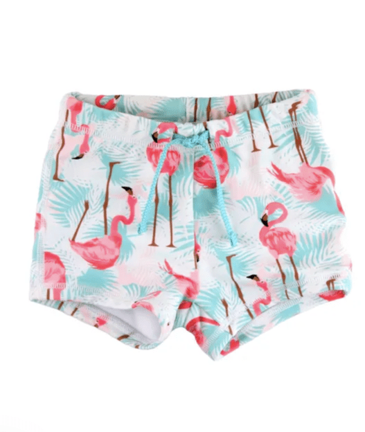 Ruffle Butts Vibrant Flamingo Swim Shorties