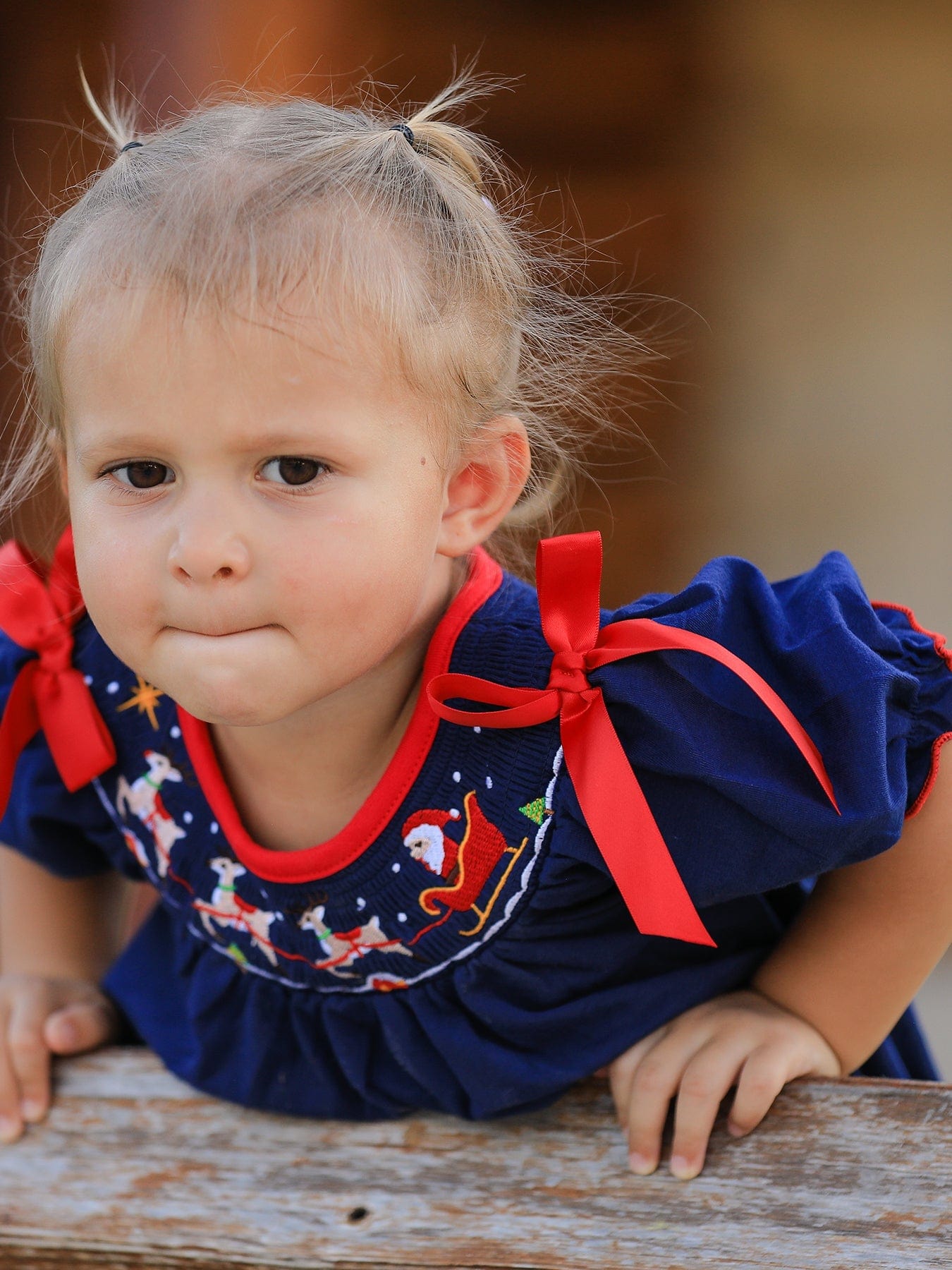 Rylee Faith Designs Christmas  Holiday Celebration Dress: Navy with Santa Sleigh