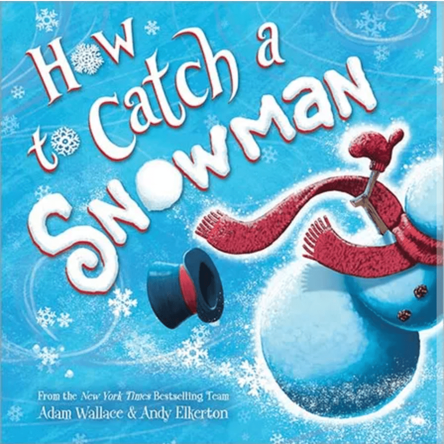 Sourcebooks Default How to catch a snowman