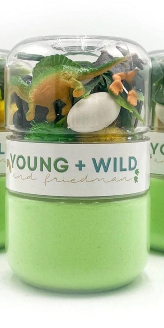 Young & Wild Dino Young & Wild Dough Jar